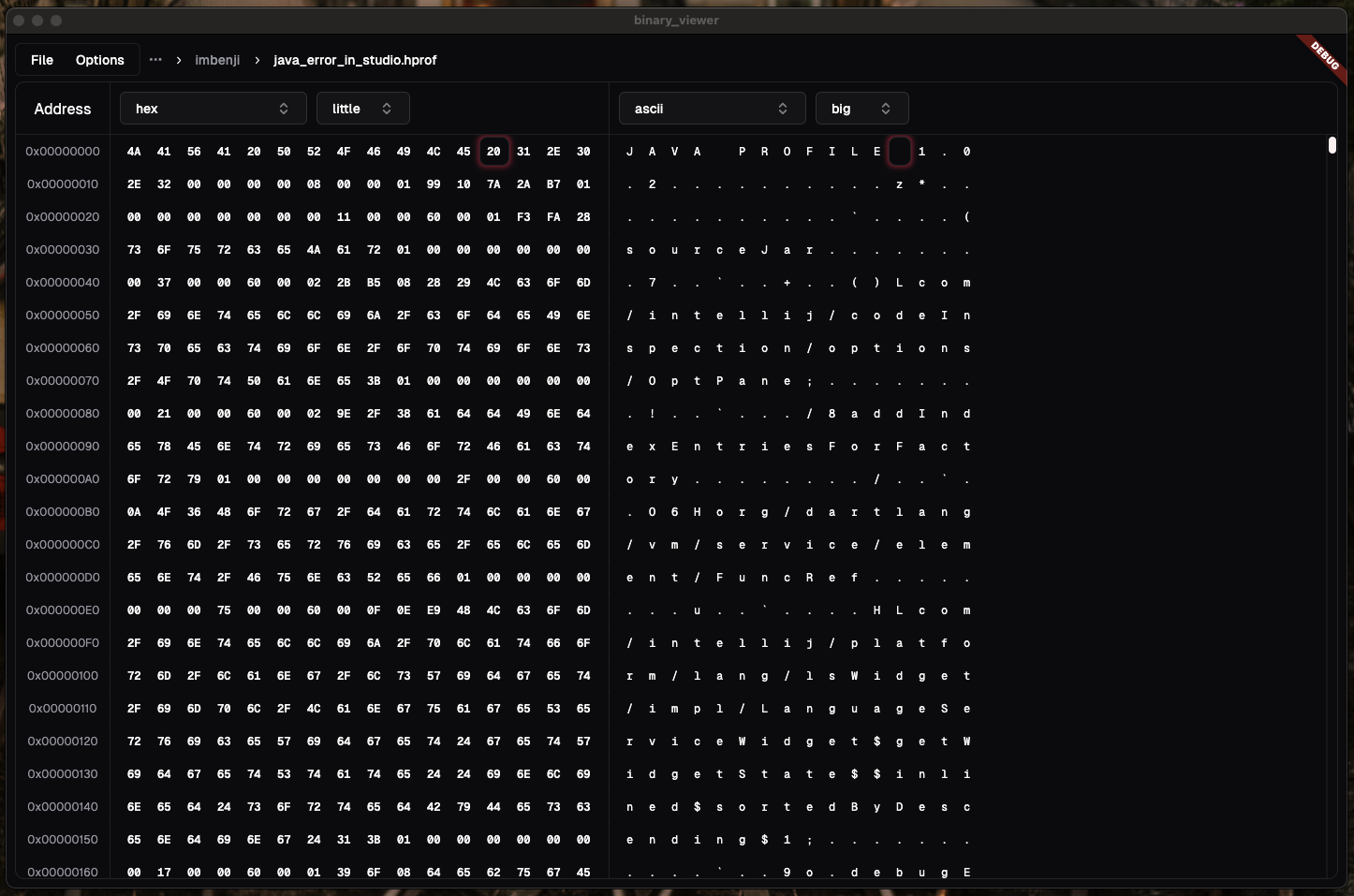 Binary Viewer Screenshot